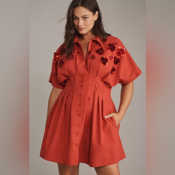 Anthropologie Dresses & Skirts - The Tobie Button-Front Pleated Shirt Dress by Exquise: Sequin Mini Edition